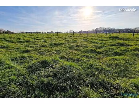 terrain 630 m² saint-rémy