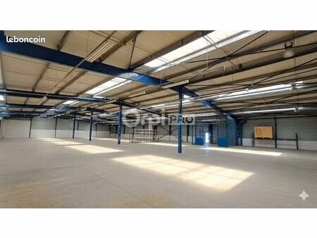 local d'activité 2 000 m²