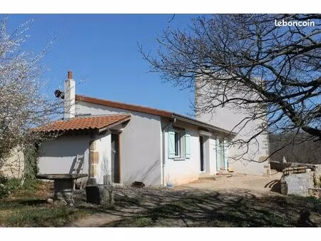 location maison avec terrain plein sud