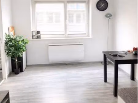 loue f2 entièrement rénové dans résidence très calme