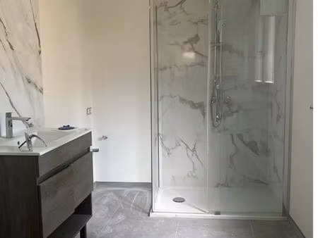 semi flamande rénovée et lumineuse