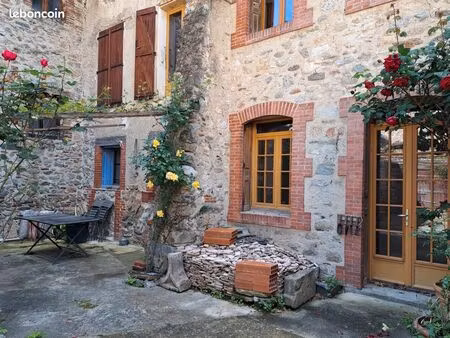 maison à vendre avec local commercial et jardin