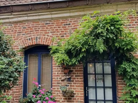 maison vieux lille à louer juin