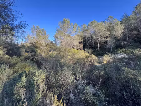 vente terrain 1050 m² roquefort-les-pins (06330)