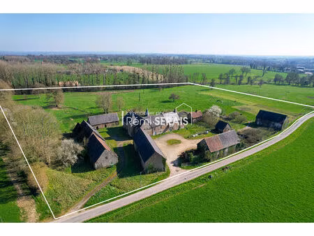 ceauce : manoir de caractère avec parc arboré  propriété d'exception au coeur de la nature