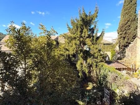 ensemble immobilier avec dépendance et jardin – centre village