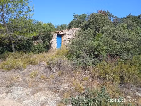 pour les amoureux de la nature terrain agricole d'environ 3ha