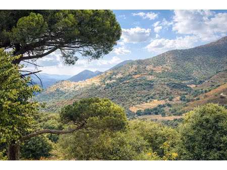 vente terrain 2457 m² à occhiatana (20226)  310 000 €