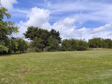 vente terrain 1744 m² à grayan-et-l'hôpital (33590)  104 500 €