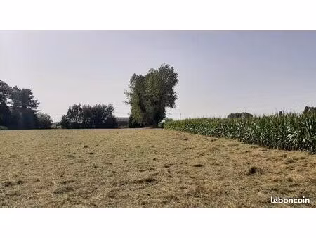 terrain 583 m² saint jean du cardonnay