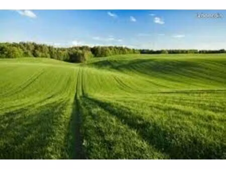 terrain 400 m² pontault combault