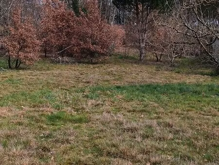 terrain constructible