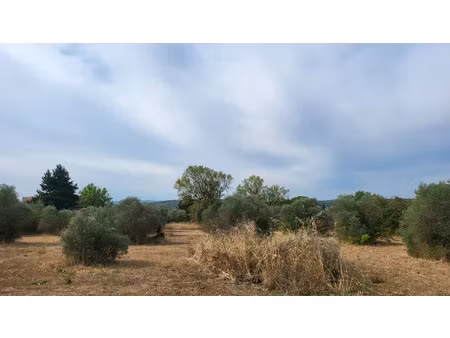 vente terrain 2500 m² à tavernes (83670)  215 000 €