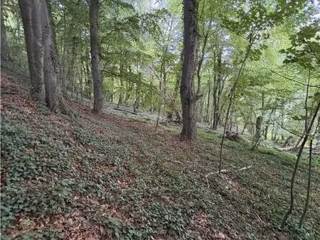 parcelle boisée à authieule (80)