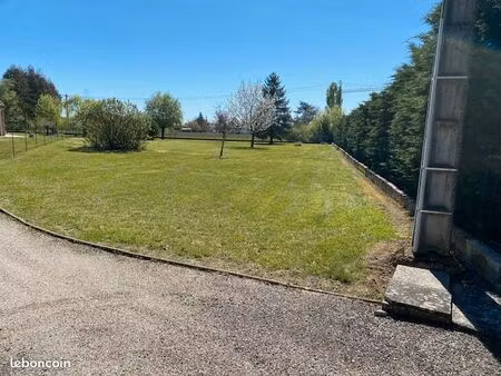 terrain plat arboré