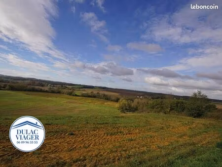 viager | terrain agricole | 99872 m² | dunes