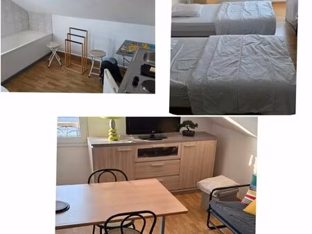 1 appartement plus 1 studio