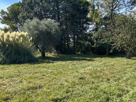 terrain constructible