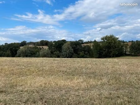 terrain 1 300 m² montfa