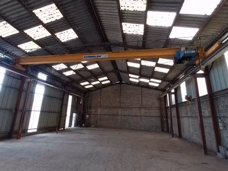 local entrepot 560 m2