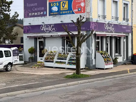 vente locaux professionnels 70 m² à verdun (55100)  55 000 €