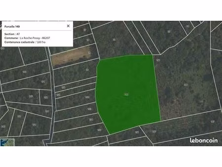 parcelle de taillis / la roche posay