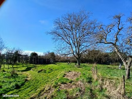 terrain verger potager