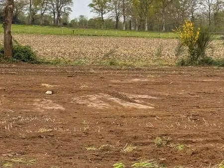 vente terrain à dingé (35440) : à vendre / dingé