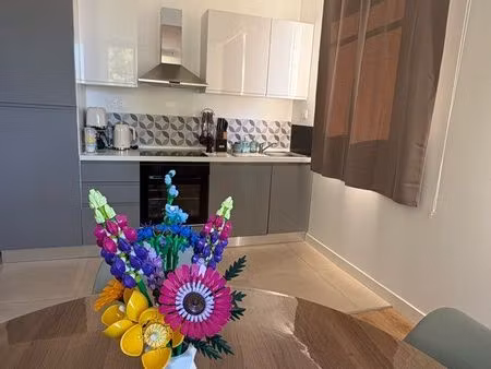 appartement 58 m² hyper centre-ville