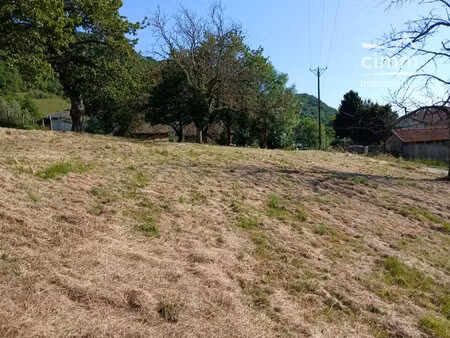 terrain à vendre morette