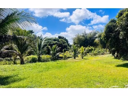 terrain baie-mahault m² t- à vendre  190 000 €