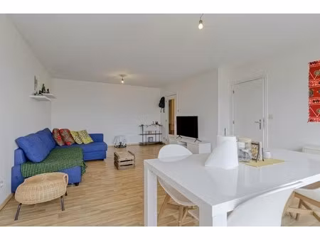 lichtrijk appartement met twee slaapkamers in borgerhout!