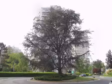 lot de 3 parkings boxables en sous-sol à marly-le-roi