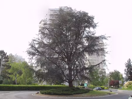 lot de 5 parkings en sous-sol à marly-le-roi