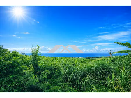 terrain 1640 m² sainte marie