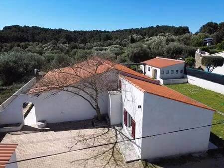 laure-minervois villa plain pied 101m2 - 4 chambres - position dominante