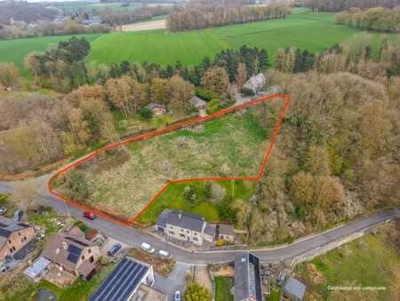 terrain spacieux  calme et plein de potentiel !