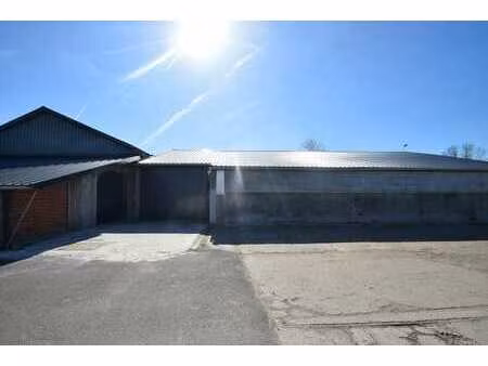 ruime vernieuwde loods op unieke locatie