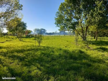 terrain sur 2 hectares/propose place cheval