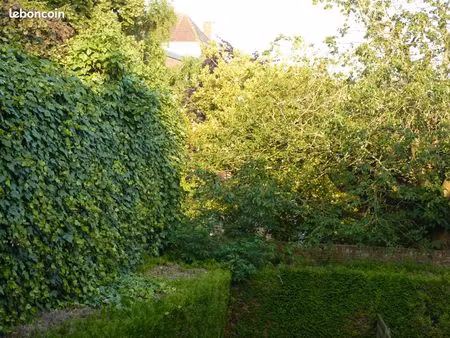 couple sérieux recherche maison avec jardin autour d’arras