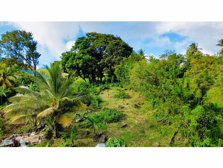 vente terrain  864.00m²  sainte