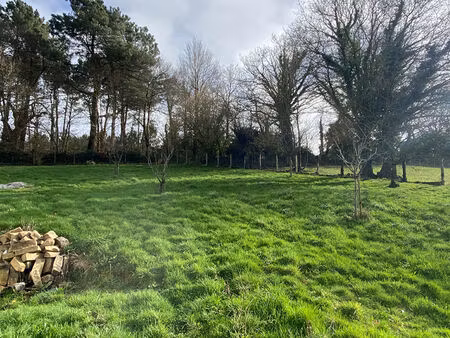 vente terrain péaule 1683m² - a viabiliser