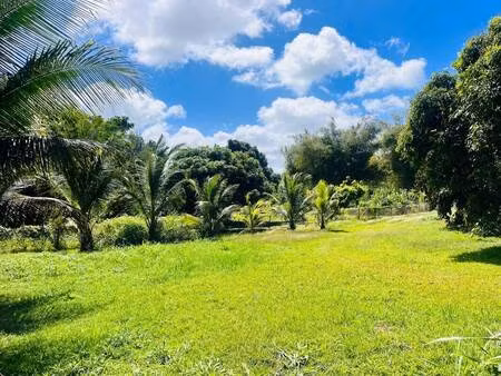 terrain constructible à vendre