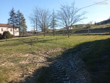 terrain constructible