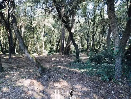 vente terrain aux sables-d'olonne (85100) : à vendre / les sables-d'olonne