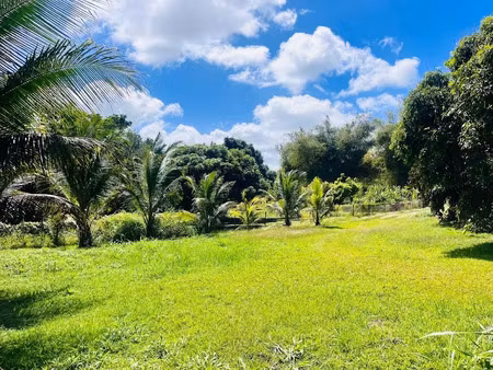 vente terrain à batir 700 m² à baie mahault (97122)  190 000 €