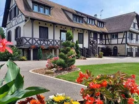 vente maison à rhinau (67860) : à vendre / 330m² rhinau