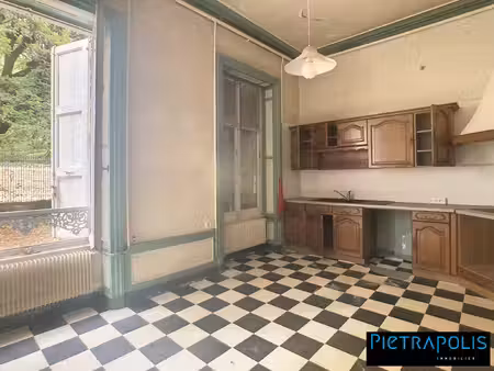 duplex à aménager dans maison de maitre avec jardin et places