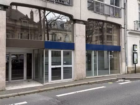 immobilier professionnel à vendre nantes
