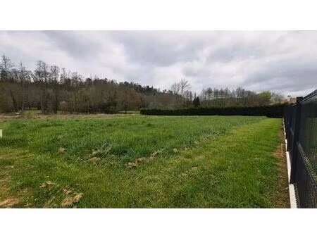 commerces et école à pied